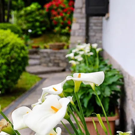 Bed&Breakfast Gli Oleandri-3